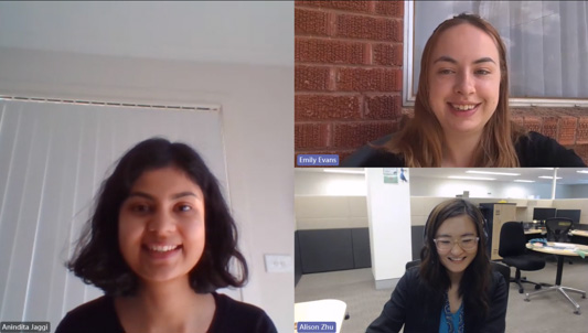 graduate group virtually meeting for lunch