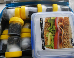 Image of jars and containers with items in them.