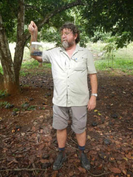 Image of man looking at trap in market garden.