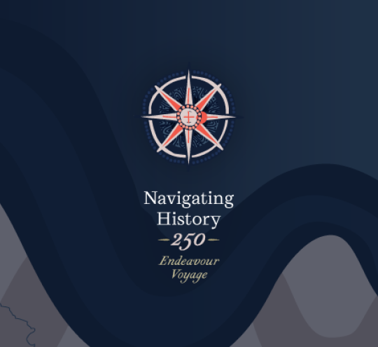 Endeavour 250 logo