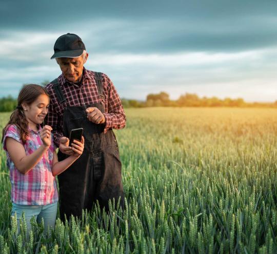 Farmer and granddaughter in a wheat field on a farm. The granddaughter is holding a mobile device and both are looking at it.