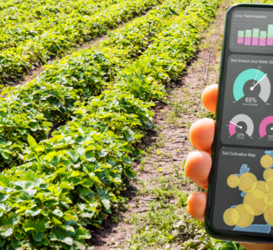  Smart farming digital technology agriculture app.