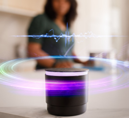 smart speaker