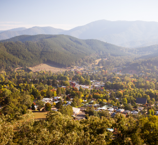 View over Bright on an Autumn morning.