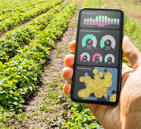 Hand holding a smart phone displaying a digital agriculture app in front of rows of crops.