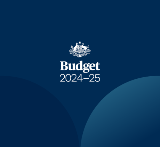 Budget 2024-25