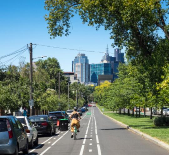 A woman rides a bike along a bike lane, towards the city, with cars parked on the side of the road.