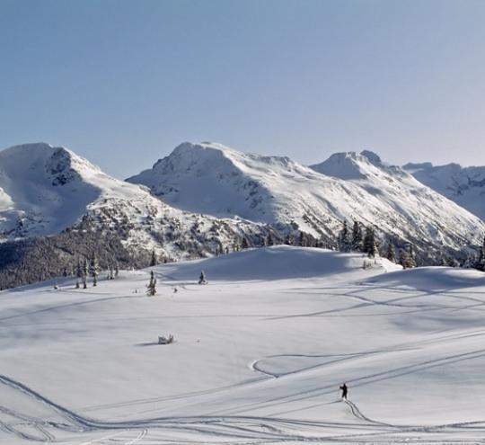 Whistler Mountain back bowl. Site of 2010 Winter Olympics