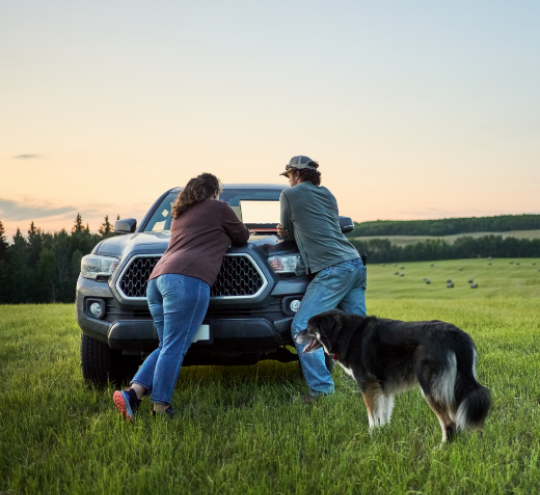 Couple leaning against the hood of their car looking at a laptop in a green field
