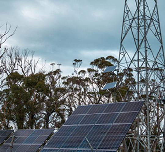 Tower and solar panels amongst trees in the bush.