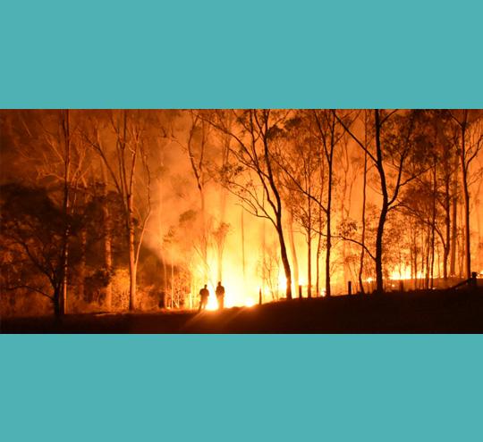 Bushfire burning through a forest at night, with flames and smoke lighting up the trees