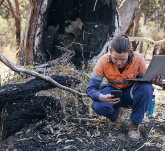 Woman in bush setting using a mobile device and laptop.