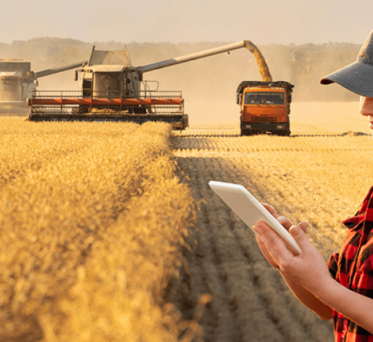 person using mobile device in harvested field