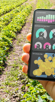 Hand holding a smart phone displaying a digital agriculture app in front of rows of crops.