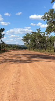Image of wide red dirt road bordered by trees