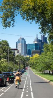 A woman rides a bike along a bike lane, towards the city, with cars parked on the side of the road.