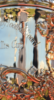 Close up image of the Web Ellis Cup.
