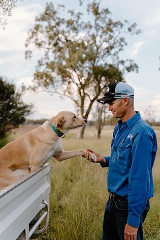 A man shaking the paw of a dog which is sitting in the tray of a ute.