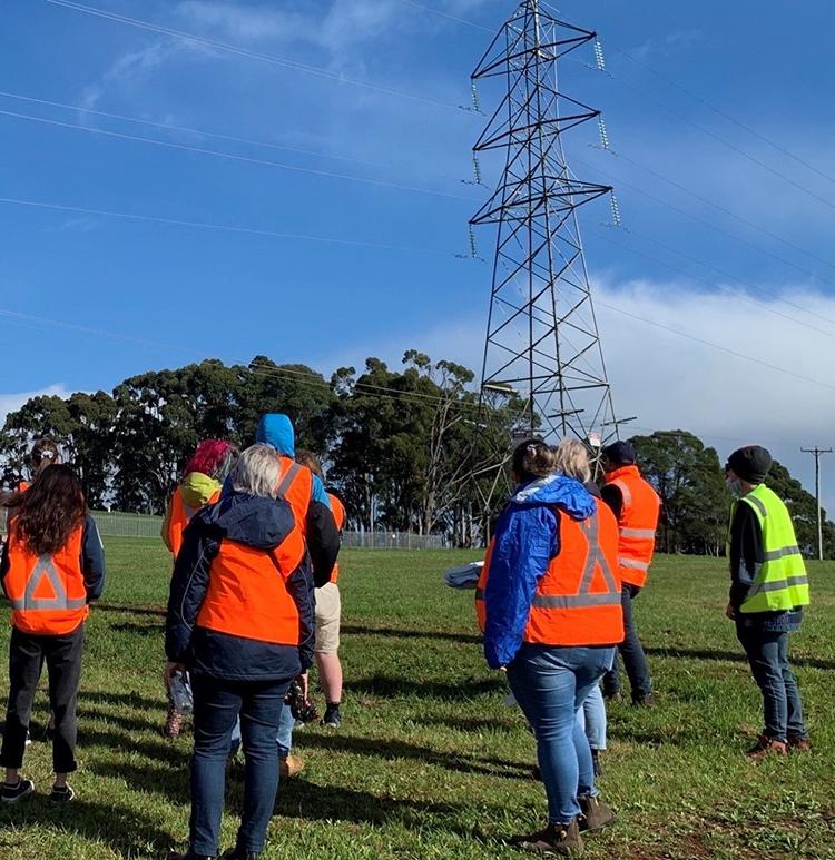 A group of young people in high-visibility vests facing away from the camera, in a green paddock with power lines and a transmission tower.